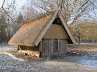 Backhaus